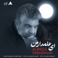 دانلود آهنگ ای علمدار من علیرضا شمشکی